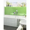 Brauseschlauch hansgrohe Isiflex 1,60 m 28276000