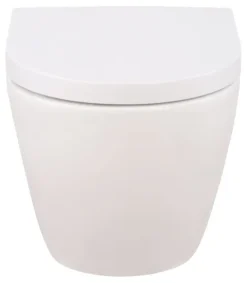 Calmwaters® Wand WC spülrandlos Weiß, mit WC-Sitz, Raumspar WC: 45 cm Ausladung, mit Absenkautomatik, Tiefspüler, Hänge WC, Wandmontage, Sanitärkeramik, 08AB6159