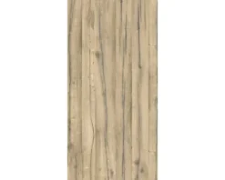 Duschrückwand BREUER Express Q72 Holzoptik Eiche 210 x 100 cm 1413532000202