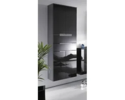 FACKELMANN Hochschrank Style/Kara BxHxT 61 x 176 x 32 cm anthrazit fertig montiert