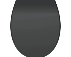 form&style WC-Sitz Bathala schwarz matt Absenkautomatik