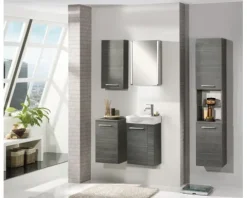 form&style Spiegelschrank 42,5 x 16,5 x 67 cm grau 1-türig LED IP 20