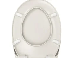 form&style WC-Sitz Paris pergamon leicht abnehmbar mit Absenkautomatik