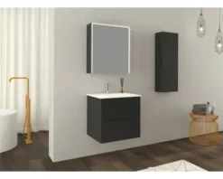 Jungborn Spiegelschrank QUATTRO SEDICI NOVE 60 x 20 x 70 cm schwarz matt 1-türig LED IP 44