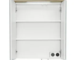 LED Spiegelschrank Salvie 60 x 72 x 20cm Salbei