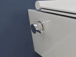 SSWW DELTA CT2041V-B – Hänge-Dusch-WC mit Taharetfunktion, Softclose & Warm-Kalt-Armatur