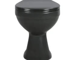 Stand-WC Tiefspüler ohne Spülrand anthrazit matt ohne WC-Sitz 1280732