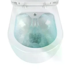 Taharet WC Spülrandlos mit Bidetfunktion: Dusch-WC mit Soft-Close-Sitz für maximalen Komfort und Hygiene